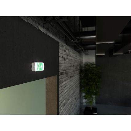 Φωτιστικό ασφαλείας LED VIRGO EVO LED/1W/230V 6000K IP65