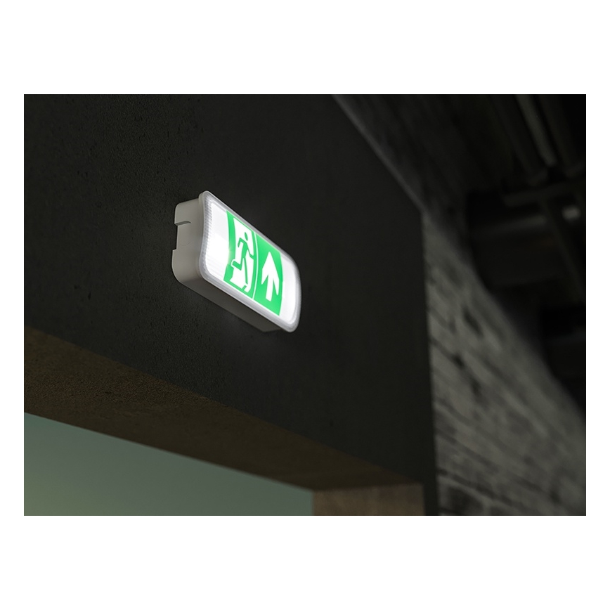 Φωτιστικό ασφαλείας LED VIRGO EVO LED/1W/230V 6000K IP65