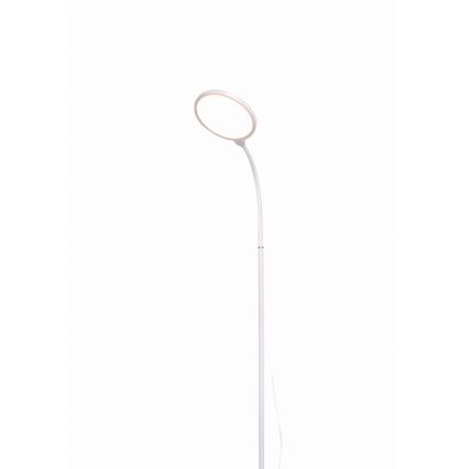 Φωτιστικό δαπέδου LED Dimmable 2σε1 LED/10W/230V λευκό