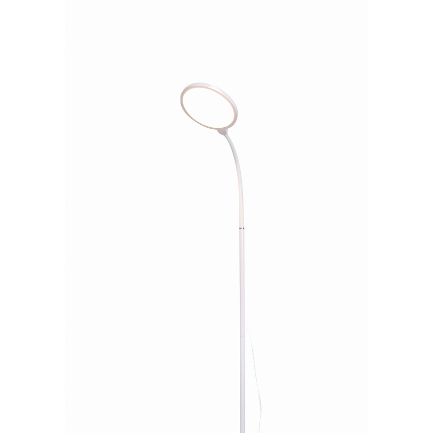 Φωτιστικό δαπέδου LED Dimmable 2σε1 LED/10W/230V λευκό