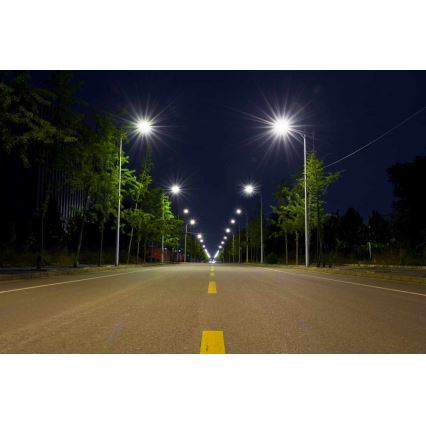 Φωτιστικό δρόμου LED BOSTON LED/35W/230V IP65