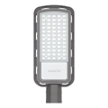 Φωτιστικό δρόμου LED LED/100W/230V 6500K IP65 γκρι