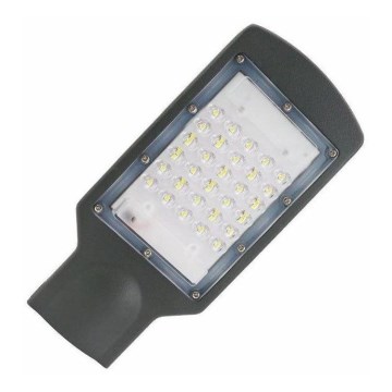 Φωτιστικό δρόμου LED LED/30W/230V IP65