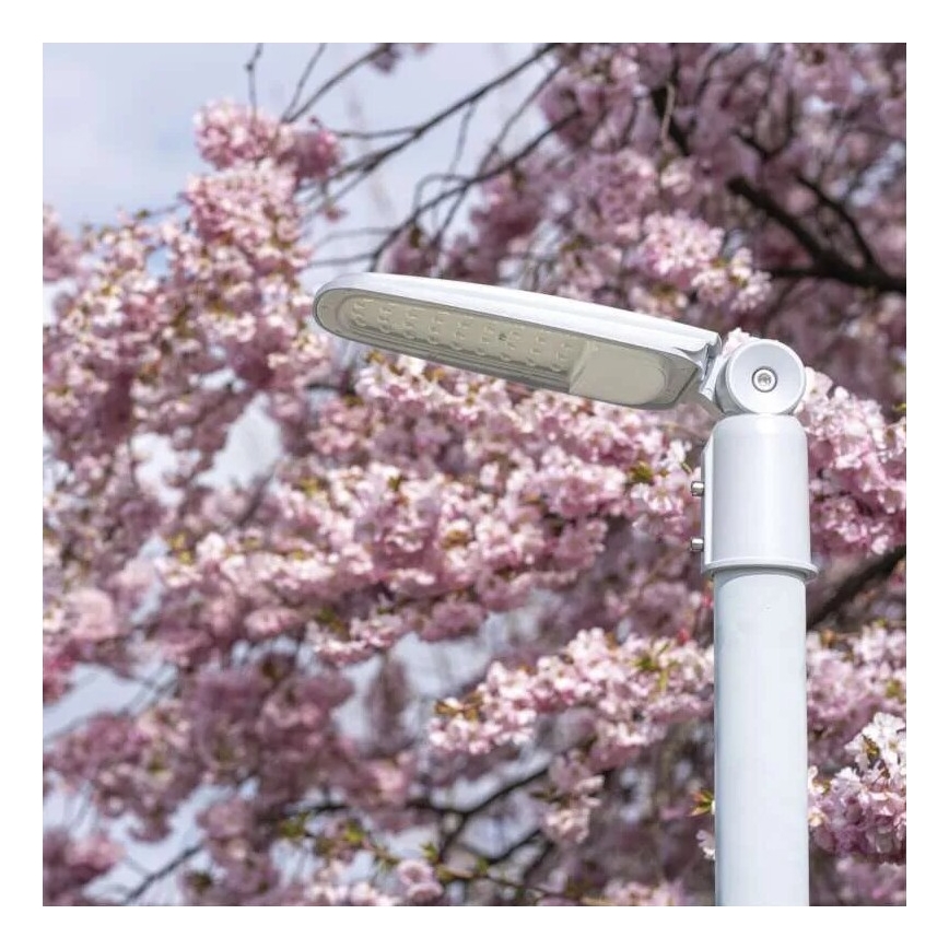 Φωτιστικό δρόμου LED SOLIS LED/30W/230V 3000K IP65