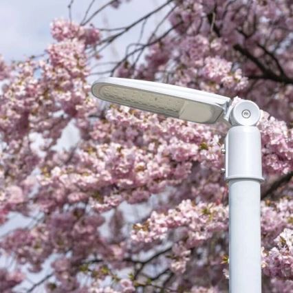 Φωτιστικό δρόμου LED SOLIS LED/50W/230V 4000K IP65