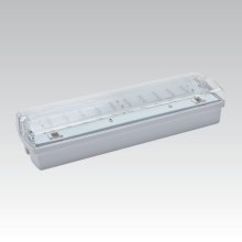 Φωτιστικό έκτακτης ανάγκης CARLA LED LED/5,51W/230V προσωρινής λειτουργίας 1h IP65