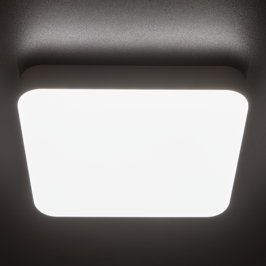 Φωτιστικό εργασίας οροφής LED IPER LED/35W/230V IK10 IP65 γωνιακό λευκό