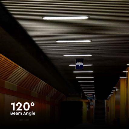 Φωτιστικό εργασίας φθορίου LED LED/48W/230V 6500K IP65 150 cm