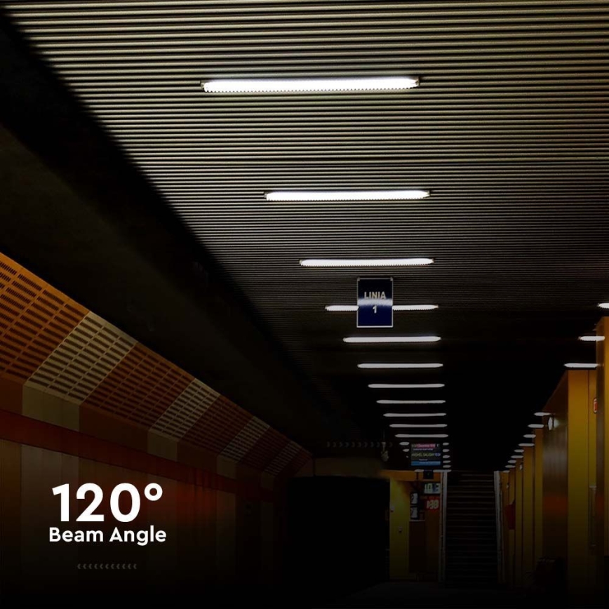 Φωτιστικό εργασίας φθορίου LED LED/48W/230V 6500K IP65 150 cm
