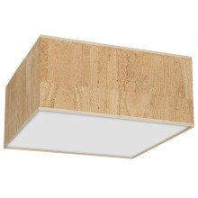 Φωτιστικό οροφής CORK 2xE27/60W/230V