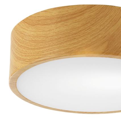 Φωτιστικό οροφής DANTE 1xE27/60W/230V δ. 26 cm