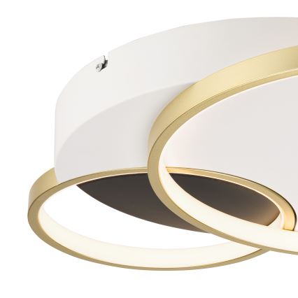 Φωτιστικό οροφής dimming BENITO LED/31W/230V 3000-6500K λευκό/χρυσαφί