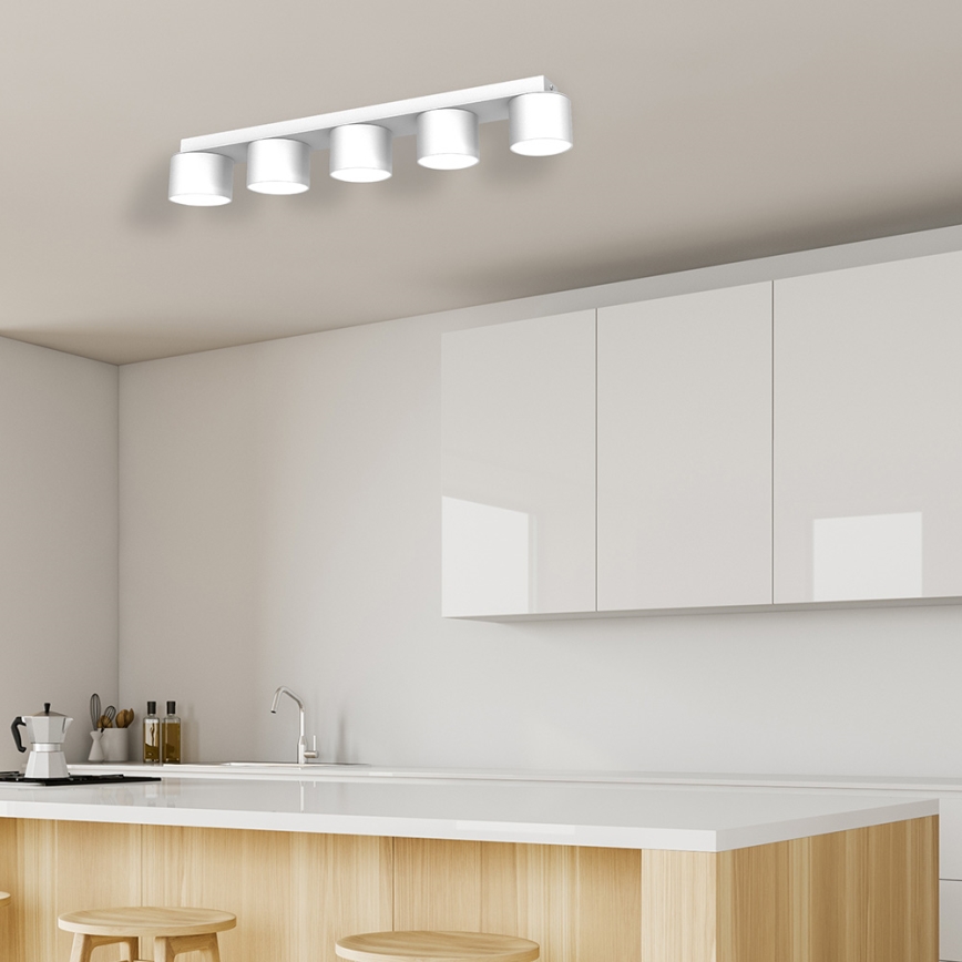 Φωτιστικό οροφής DIXIE 5xGX53/11W/230V λευκό