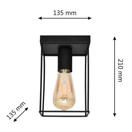 Φωτιστικό οροφής FINN 1xE27/15W/230V μαύρο