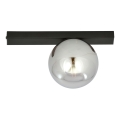 Φωτιστικό οροφής FIT 1xE14/10W/230V μαύρο/γκρι