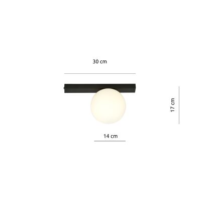 Φωτιστικό οροφής FIT 1xE14/10W/230V μαύρο/λευκό