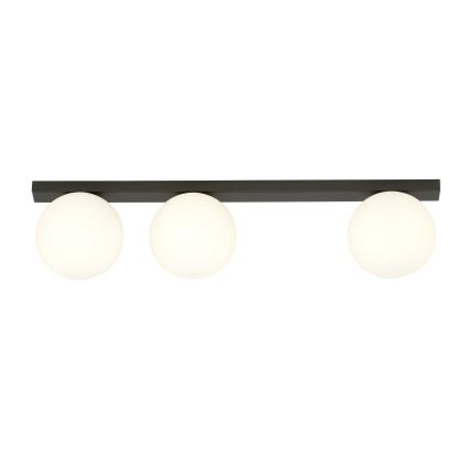 Φωτιστικό οροφής FIT 3xE14/10W/230V μαύρο/λευκό