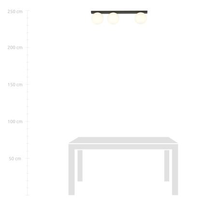 Φωτιστικό οροφής FIT 3xE14/10W/230V μαύρο/λευκό