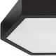 Φωτιστικό οροφής HEX 2xE27/60W/230V δ. 43 cm πεύκο μαύρο