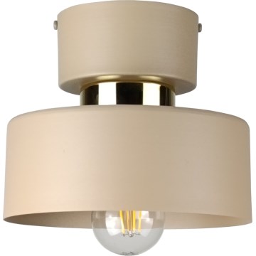 Φωτιστικό οροφής IGNIA 1xE27/60W/230V taupe