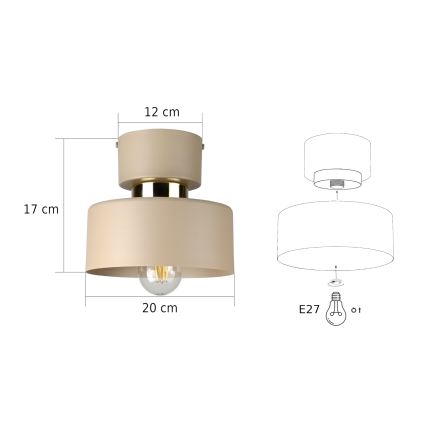 Φωτιστικό οροφής IGNIA 1xE27/60W/230V taupe
