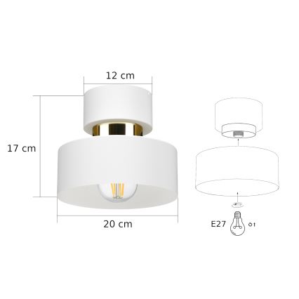 Φωτιστικό οροφής IGNIA 1xE27/60W/230V λευκό