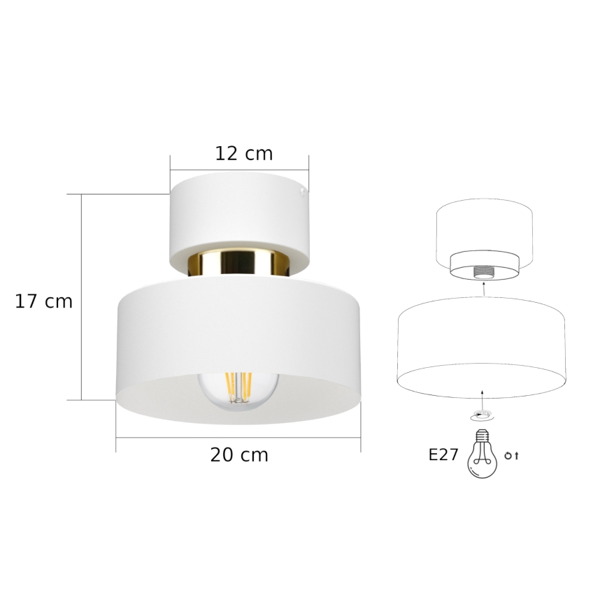 Φωτιστικό οροφής IGNIA 1xE27/60W/230V λευκό