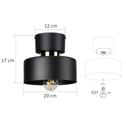Φωτιστικό οροφής IGNIA 1xE27/60W/230V μαύρο