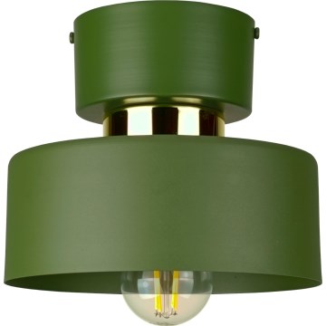 Φωτιστικό οροφής IGNIA 1xE27/60W/230V, πράσινο