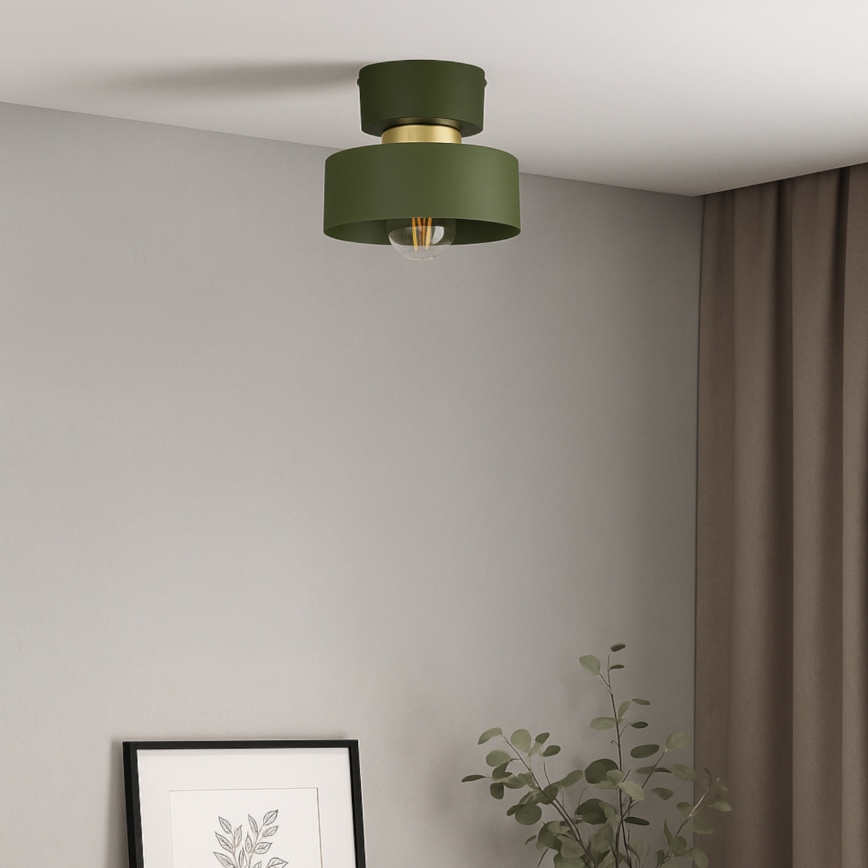 Φωτιστικό οροφής IGNIA 1xE27/60W/230V, πράσινο