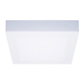 Φωτιστικό οροφής LED 12W/230V 3000/4000/6000K 17x17 cm λευκό