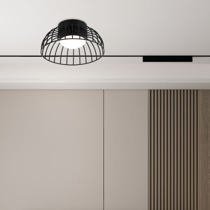 Φωτιστικό οροφής LED BETSY LED/12W/230V Ø 25 cm μαύρο