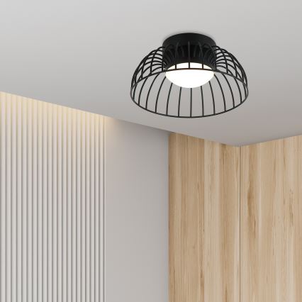 Φωτιστικό οροφής LED BETSY LED/12W/230V Ø 25 cm μαύρο