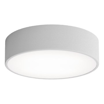 Φωτιστικό οροφής LED CLEO LED/24W/230V 3000K διάμετρος 30 cm γκρι