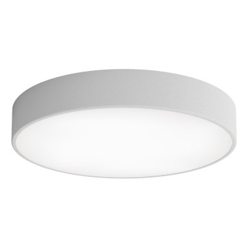 Φωτιστικό οροφής LED CLEO LED/69W/230V 3000K διάμετρος 50 cm γκρι