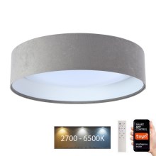 Φωτιστικό οροφής LED Dimmable SMART GALAXY LED/24W/230V δ. 45 cm 2700-6500K Wi-Fi Tuya γκρι/λευκό + τηλεχειριστήριο