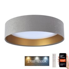 Φωτιστικό οροφής LED Dimmable SMART GALAXY LED/24W/230V δ. 45 cm 2700-6500K Wi-Fi Tuya γκρι/χρυσό + τηλεχειριστήριο