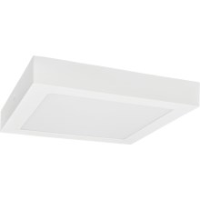 Φωτιστικό οροφής LED FENIX LED/12W/230V 3800K 17 cm snow λευκό