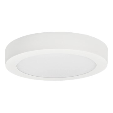 Φωτιστικό οροφής LED FENIX LED/12W/230V 3800K διάμετρος 17 cm snow λευκό