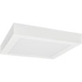 Φωτιστικό οροφής LED FENIX LED/18W/230V 3800K 22,5 cm snow λευκό