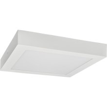 Φωτιστικό οροφής LED FENIX LED/24W/230V 2800K 29,8 cm