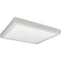Φωτιστικό οροφής LED FENIX LED/32W/230V 3800K 40 cm λευκό