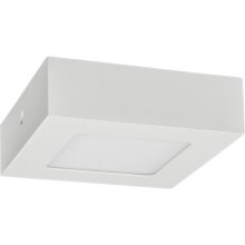 Φωτιστικό οροφής LED FENIX LED/6W/230V 2800K 12 cm