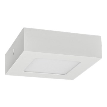 Φωτιστικό οροφής LED FENIX LED/6W/230V 3800K 12 cm