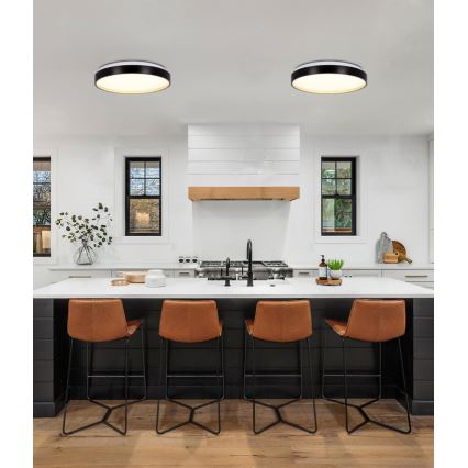 Φωτιστικό οροφής LED FLORIDA LED/18W/230V μαύρο