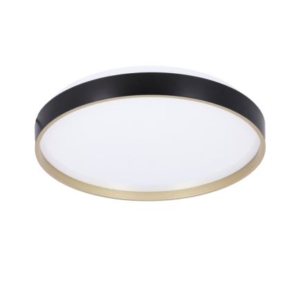 Φωτιστικό οροφής LED FLORIDA LED/18W/230V μαύρο