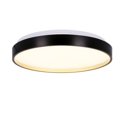 Φωτιστικό οροφής LED FLORIDA LED/18W/230V μαύρο