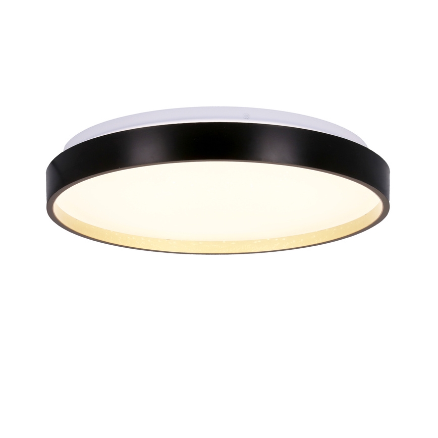 Φωτιστικό οροφής LED FLORIDA LED/18W/230V μαύρο