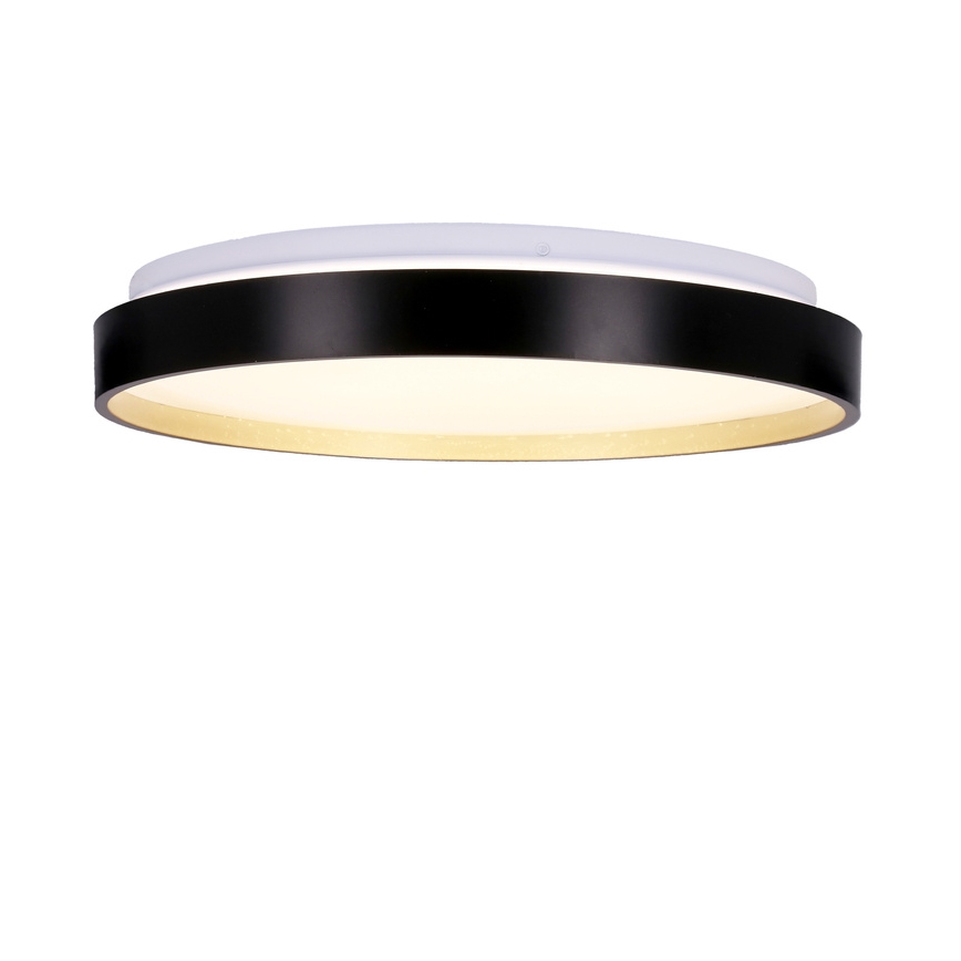 Φωτιστικό οροφής LED FLORIDA LED/18W/230V μαύρο