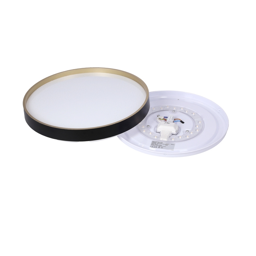 Φωτιστικό οροφής LED FLORIDA LED/18W/230V μαύρο